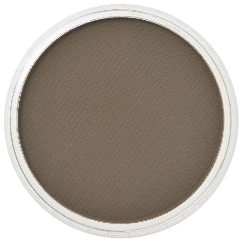 Pan Pastel Artists' Pastel 780.3 Raw Umber Shade
