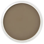 Pan Pastel Artists' Pastel 780.5 Raw Umber
