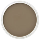 Pan Pastel Artists' Pastel 780.5 Raw Umber