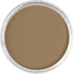 PAN PASTEL ARTISTS' PASTEL 780.7 RAW UMBER LIGHT