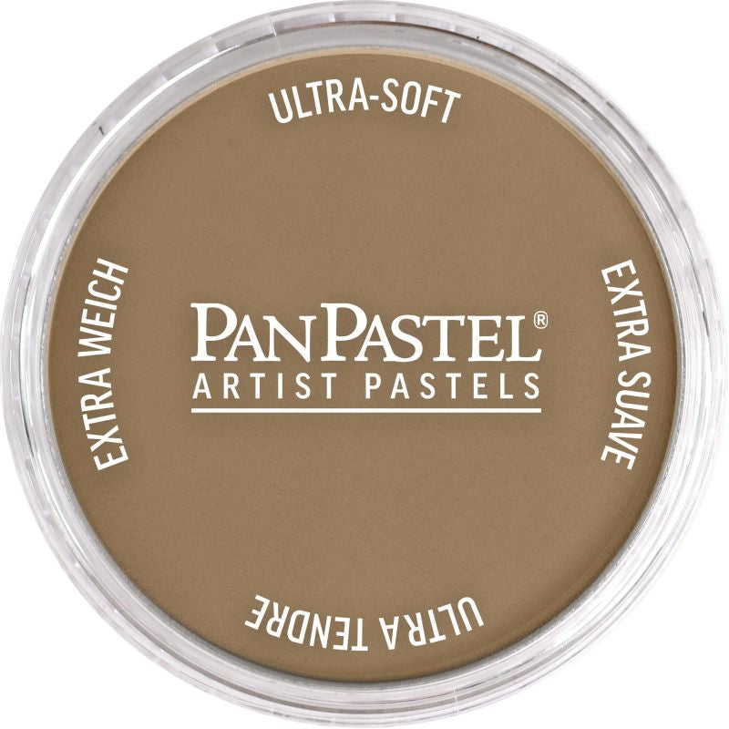 PAN PASTEL ARTISTS' PASTEL 780.7 RAW UMBER LIGHT