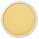 PAN PASTEL ARTISTS' PASTEL 910.5 LIGHT GOLD