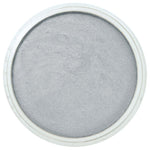 Pan Pastel Artists' Pastel 921.5 Pewter