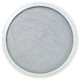 Pan Pastel Artists' Pastel 921.5 Pewter