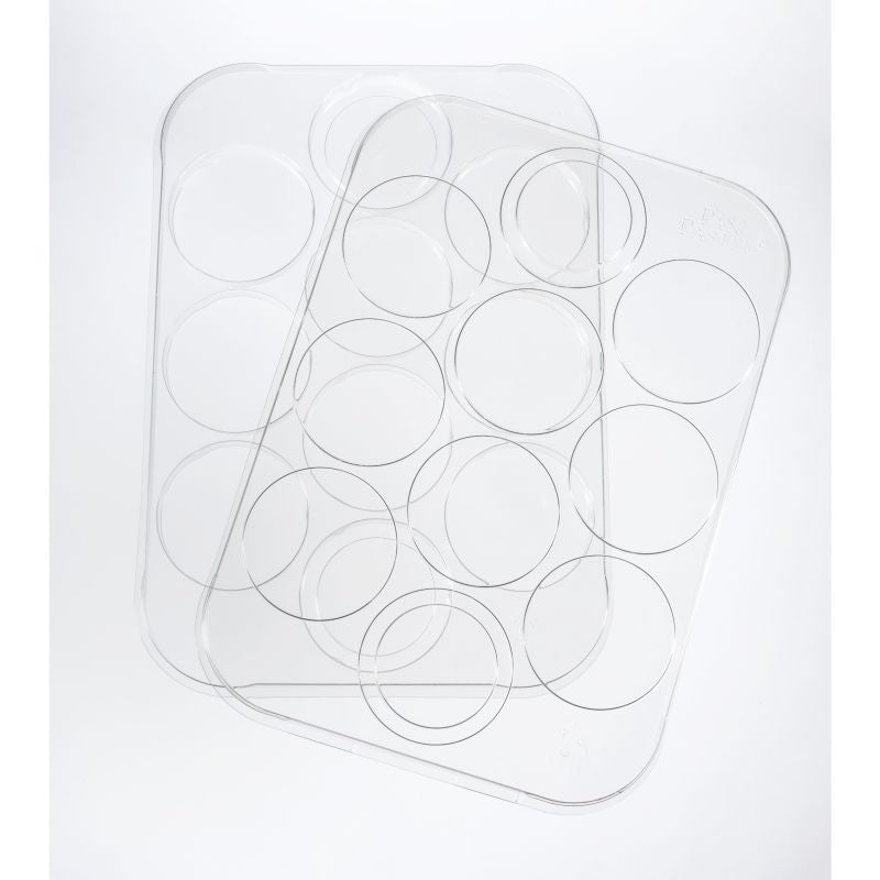 Pan Pastel Palette Tray with Lid Holds 10