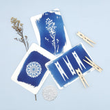 PAR CYANOTYPE DIY KIT POSTCARD SET