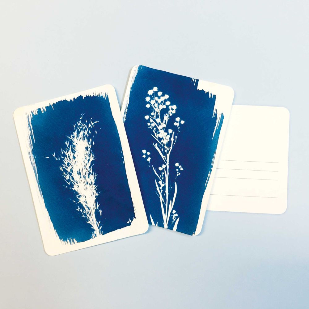 PAR CYANOTYPE DIY KIT POSTCARD SET