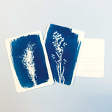 PAR CYANOTYPE DIY KIT POSTCARD SET