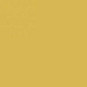 Pebeo Gilding Paint Empire Gold 75ml