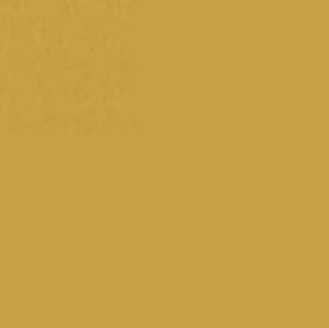 Pebeo Gilding Paint King Gold 75ml