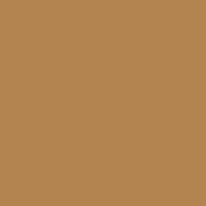 Pebeo T7 Gouache Paint Raw Sienna 20ml
