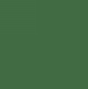 Pebeo T7 Gouache Paint Olive Green 20ml