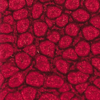 Pebeo Fantasy Primse Paint Cherry Blossom 45ml