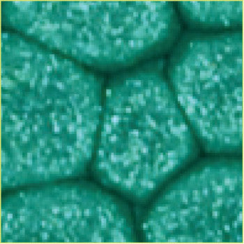 Pebeo Fantasy Primse Paint Emerald 45ml