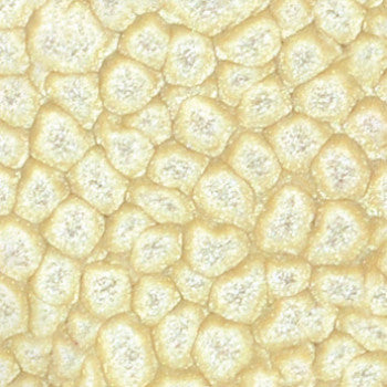 Pebeo Fantasy Primse Paint Eggshell White 45ml