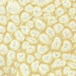 Pebeo Fantasy Primse Paint Eggshell White 45ml