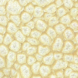 Pebeo Fantasy Primse Paint Eggshell White 45ml