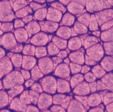 Pebeo Fantasy Primse Paint Pearl Violine 45ml