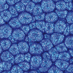 Pebeo Fantasy Primse Paint Marine Blue 45ml