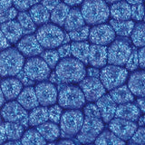 Pebeo Fantasy Primse Paint Marine Blue 45ml