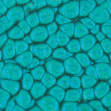 Pebeo Fantasy Primse Paint Turquoise 45ml