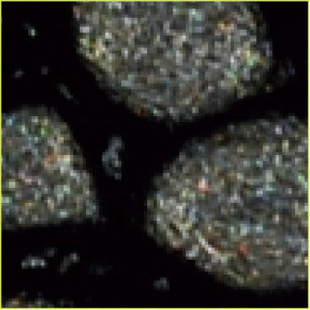 Pebeo Fantasy Primse Paint Onyx 45ml