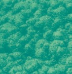 Pebeo Fantasy Moon Paint Emerald 45ml