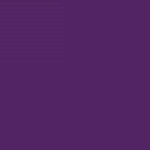 Pebeo Setasilk Fabric Paint Iris Violet 45ml