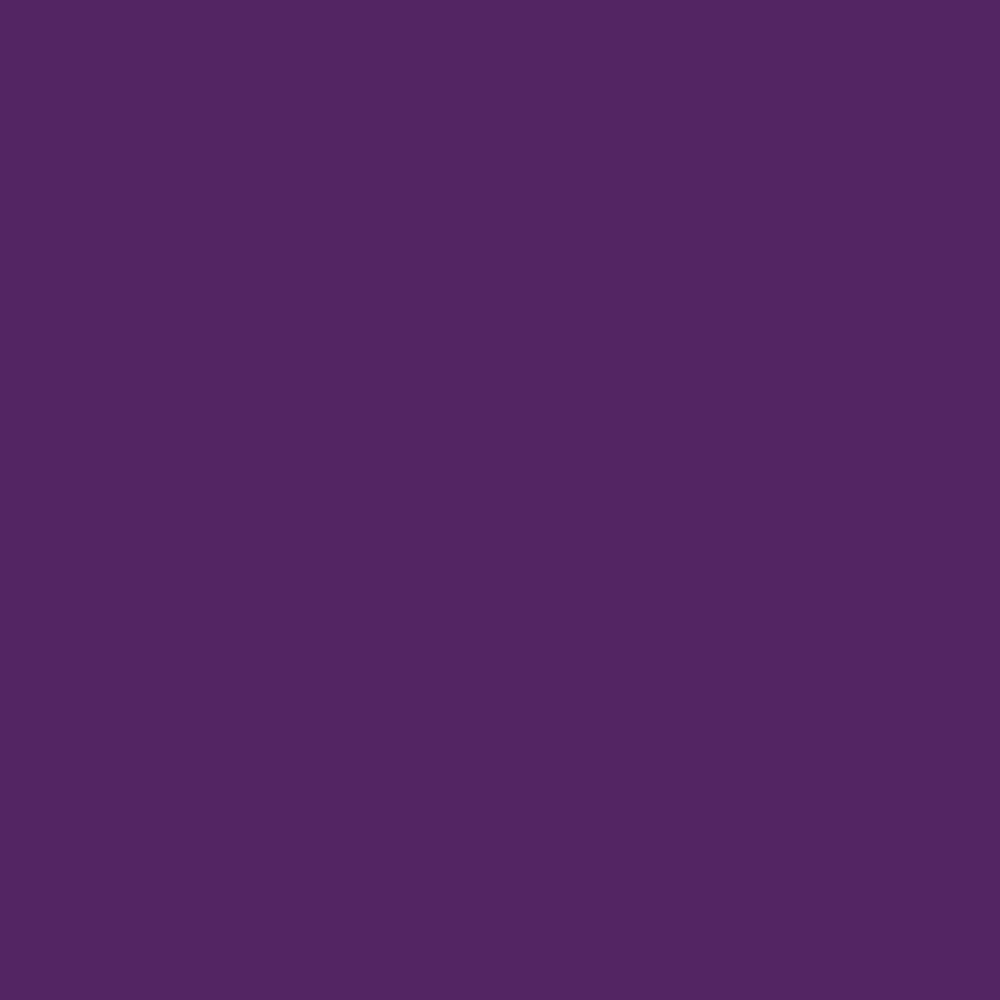 Pebeo Setasilk Fabric Paint Iris Violet