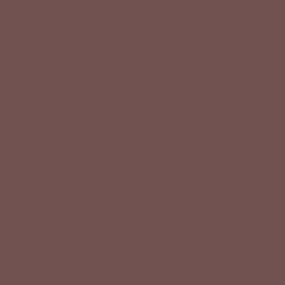 Pebeo Setasilk Fabric Paint Chestnut