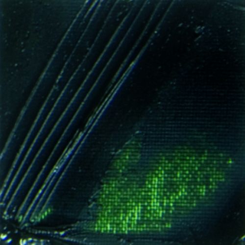 Pebeo XL Oil Paint Sap Green