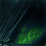 Pebeo XL Oil Paint Sap Green