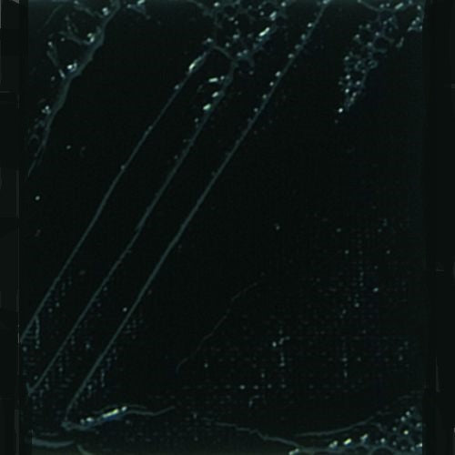 Pebeo XL Oil Paint Ivory Black 200ml