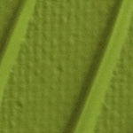 Pebeo Origin Acrylic Paint Light Olive Green 60ml