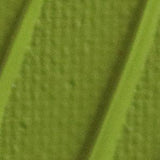 Pebeo Origin Acrylic Paint Light Olive Green 60ml