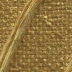 Pebeo Origin Acrylic Paint Gold 60ml