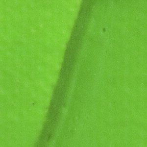 Pebeo Origin Acrylic Paint Fluorescent Green 60ml