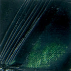 Pebeo XL Oil Paint Sap Green