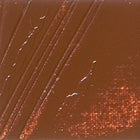 Pebeo XL Oil Paint Burnt Sienna 37ml