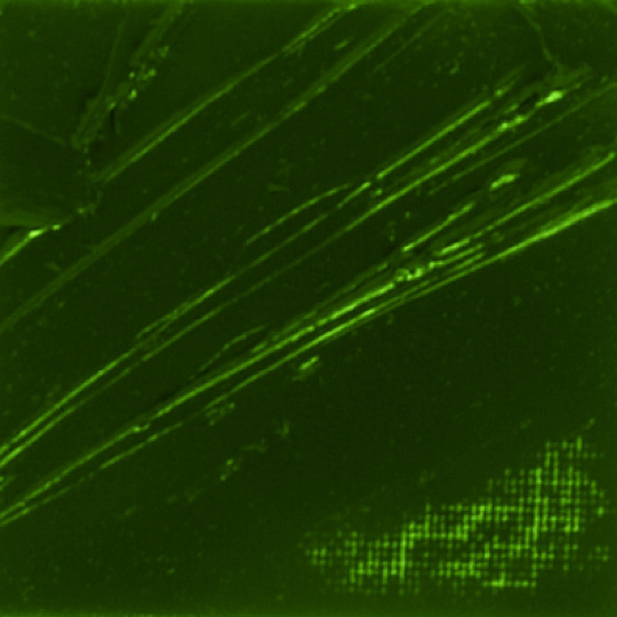 Pebeo XL Oil Paint Green Earth