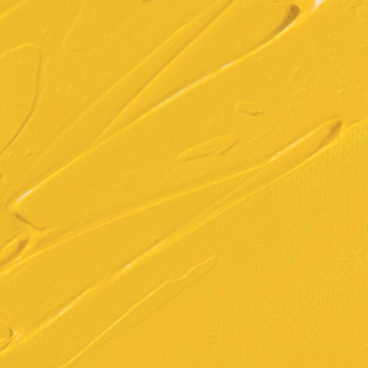 Pebeo XL Oil Paint Aureoline