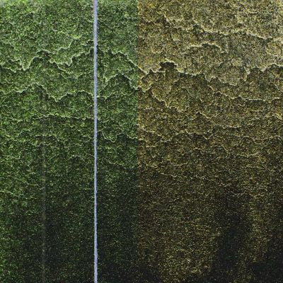 QoR Watercolour Paint Interference Green-Orange Shift 11ml