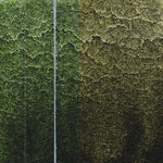 QoR Watercolour Paint Interference Green-Orange Shift 11ml