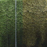 QoR Watercolour Paint Interference Green-Orange Shift 11ml