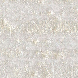 R&F Encaustic Paint Iridescent Pearl 40ml