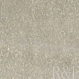 R&F Encaustic Paint Iridescent Silver 40ml