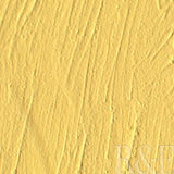 R&F Pigment Stick Naples Yellow 38ml