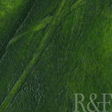 R&F Pigment Stick Sap Green 100ml