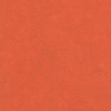 R&F DRAWING OIL STICK WARM PINK 12ML