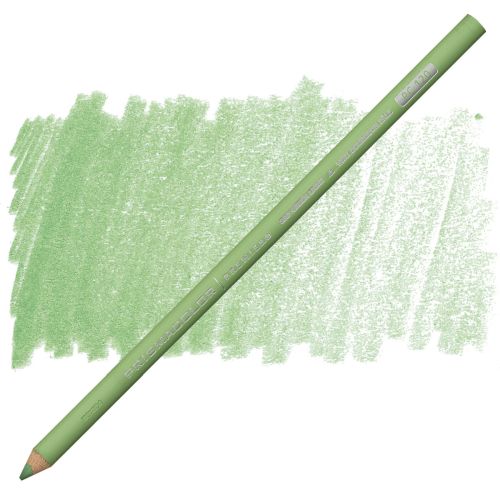 Prismacolor Premier Coloured Pencil 120 Sap Green Light